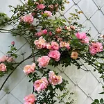 בית הארחה Maison D'hotes Le Charme Du Champs Claire
