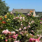 Maison D'hotes Le Charme Du Champs Claire בית הארחה Ebly
