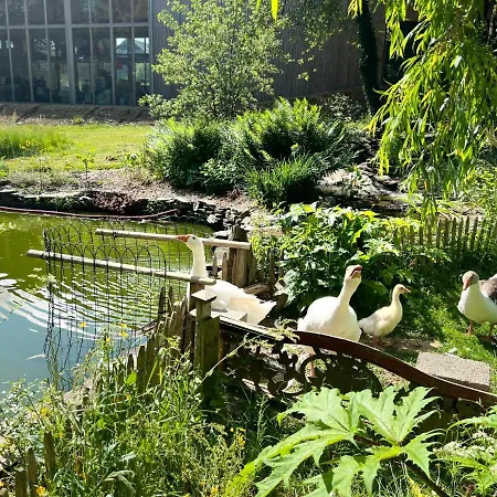 Maison D'hotes Le Charme Du Champs Claire *