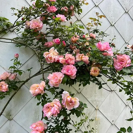 Penzion Maison D'hotes Le Charme Du Champs Claire