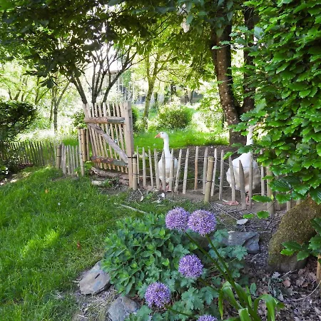 Maison D'hotes Le Charme Du Champs Claire * Ebly