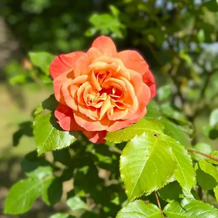 Penzion Maison D'hotes Le Charme Du Champs Claire