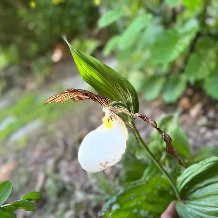 Maison D'hotes Le Charme Du Champs Claire * Ebly