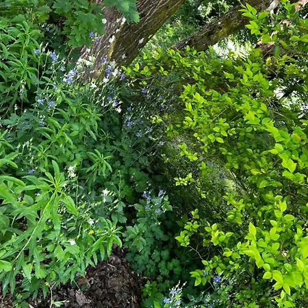 Penzion Maison D'hotes Le Charme Du Champs Claire