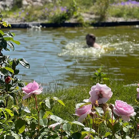 Maison D'hotes Le Charme Du Champs Claire *