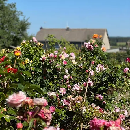 Maison D'hotes Le Charme Du Champs Claire Guest house Ebly