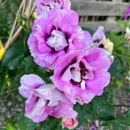 Penzion Maison D'hotes Le Charme Du Champs Claire