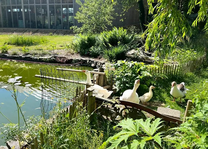 Maison D'hôtes Le Charme Du Champs Claire *