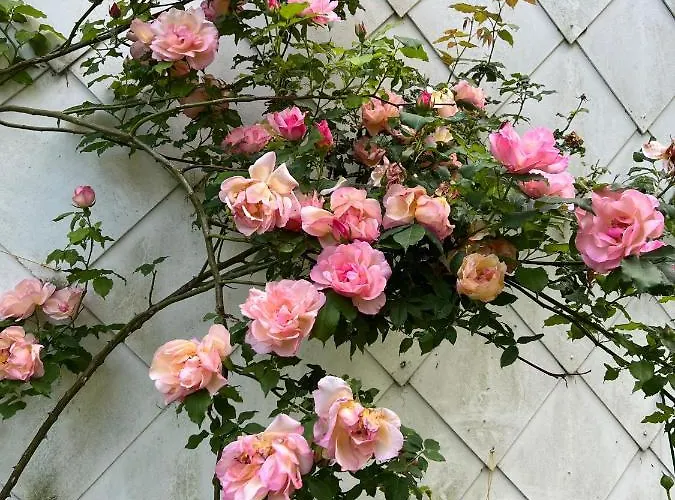 Maison d'hôtes Maison D'hôtes Le Charme Du Champs Claire