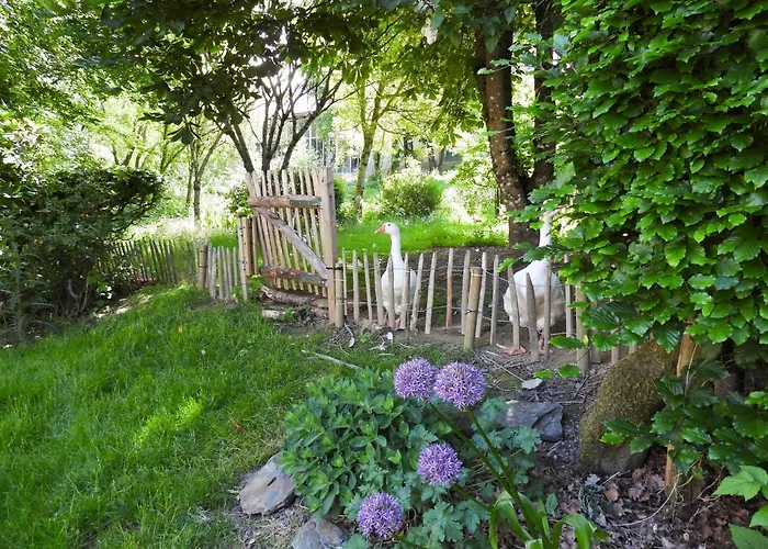 Maison D'hôtes Le Charme Du Champs Claire * Ebly