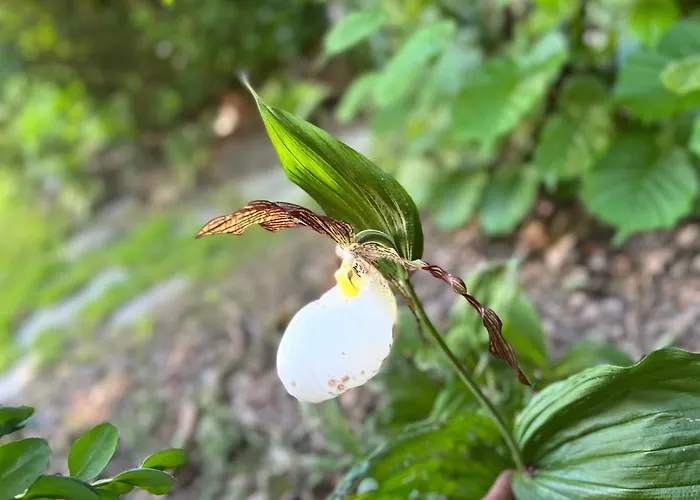Maison D'hôtes Le Charme Du Champs Claire * Ebly