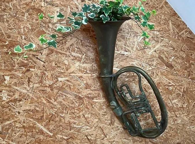 Maison d'hôtes Maison D'hôtes Le Charme Du Champs Claire *