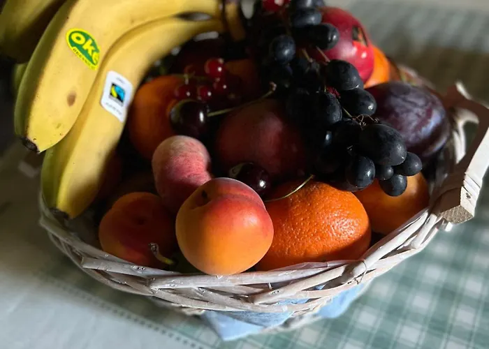 Maison D'hôtes Le Charme Du Champs Claire Maison d'hôtes