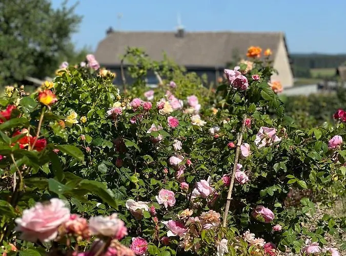 Maison D'hôtes Le Charme Du Champs Claire Maison d'hôtes Ebly